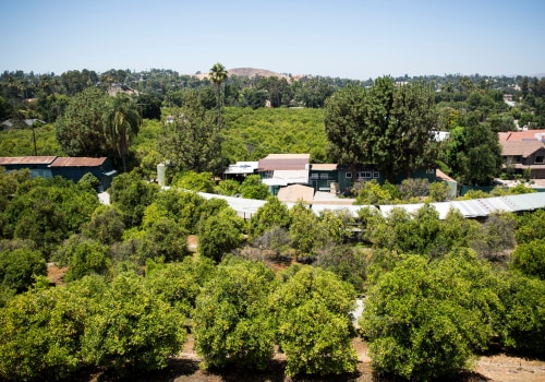 Discount Pharmacies in Orange County, CA: Get the Care You Deserve