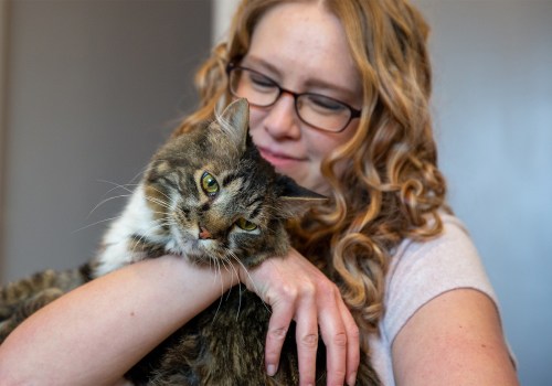Pet Pharmacies in Orange County, CA: Get the Best Medication for Your Furry Friend